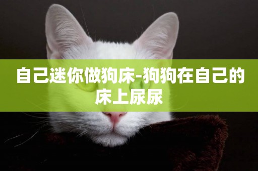 自己迷你做狗床-狗狗在自己的床上尿尿