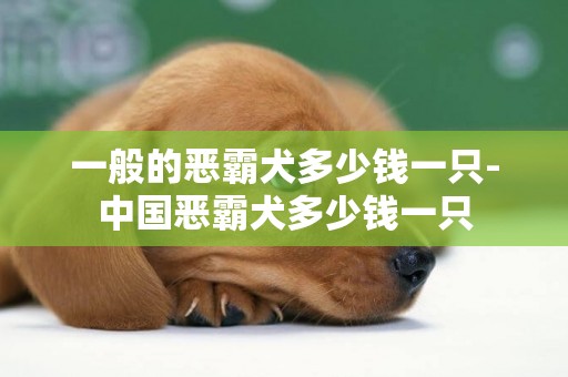 一般的惡霸犬多少錢一只-中國惡霸犬多少錢一只
