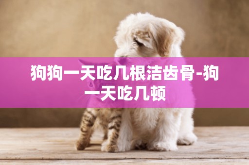狗狗一天吃幾根潔齒骨-狗一天吃幾頓