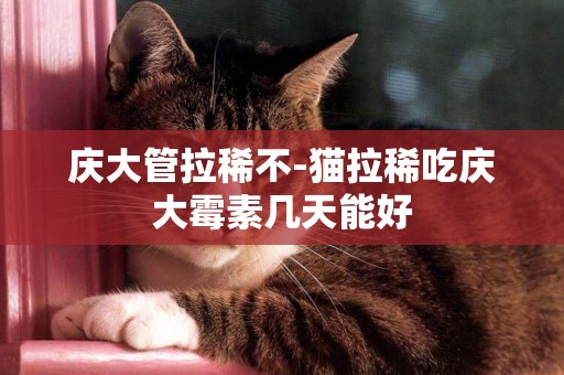 慶大管拉稀不-貓拉稀吃慶大霉素幾天能好