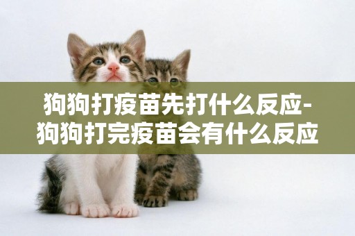 狗狗打疫苗先打什么反應-狗狗打完疫苗會有什么反應