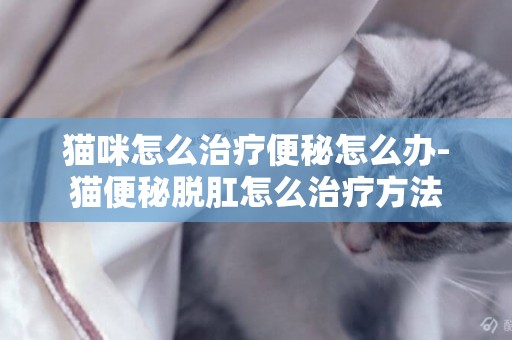 貓咪怎么治療便秘怎么辦-貓便秘脫肛怎么治療方法