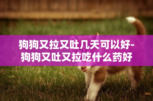狗狗又拉又吐幾天可以好-狗狗又吐又拉吃什么藥好