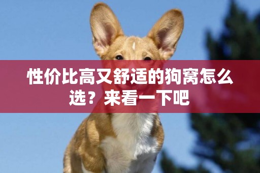 性價比高又舒適的狗窩怎么選？來看一下吧