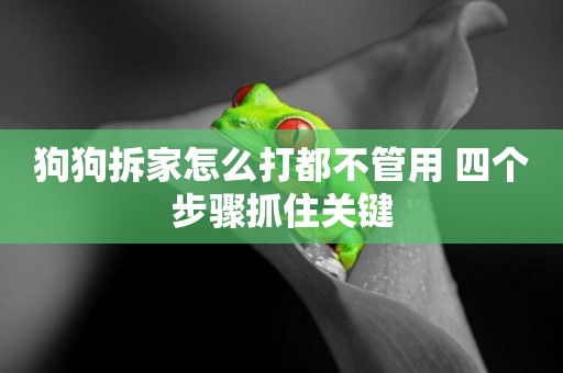 狗狗拆家怎么打都不管用 四個步驟抓住關鍵