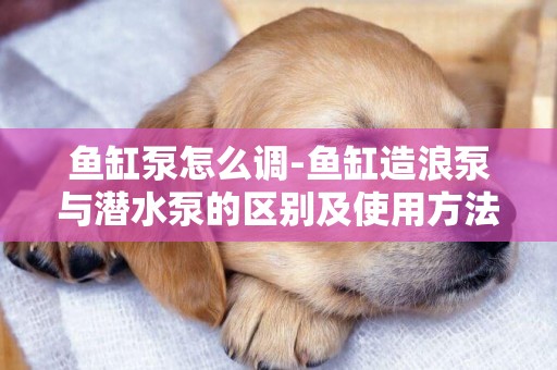 魚缸泵怎么調-魚缸造浪泵與潛水泵的區別及使用方法