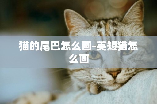 貓的尾巴怎么畫-英短貓怎么畫