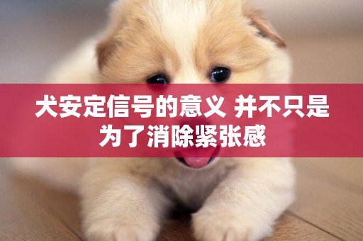 犬安定信號的意義 并不只是為了消除緊張感