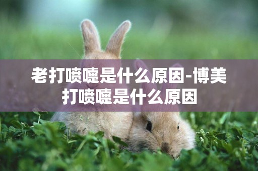 老打噴嚏是什么原因-博美打噴嚏是什么原因