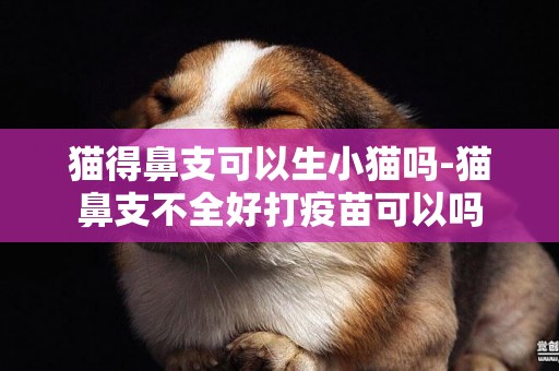 貓得鼻支可以生小貓嗎-貓鼻支不全好打疫苗可以嗎