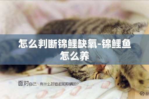 怎么判斷錦鯉缺氧-錦鯉魚怎么養