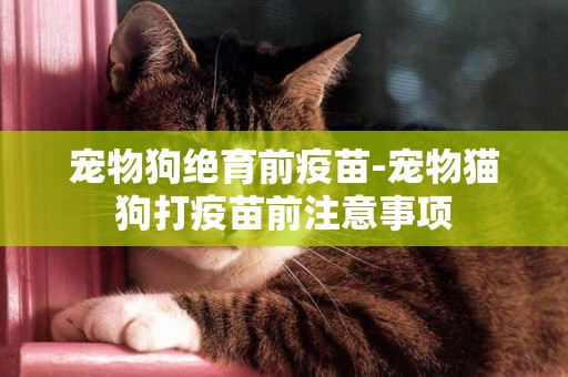 寵物狗絕育前疫苗-寵物貓狗打疫苗前注意事項