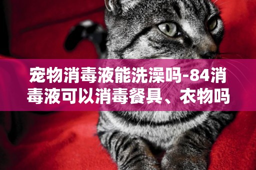 寵物消毒液能洗澡嗎-84消毒液可以消毒餐具、衣物嗎