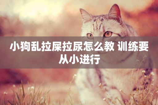 小狗亂拉屎拉尿怎么教 訓練要從小進行