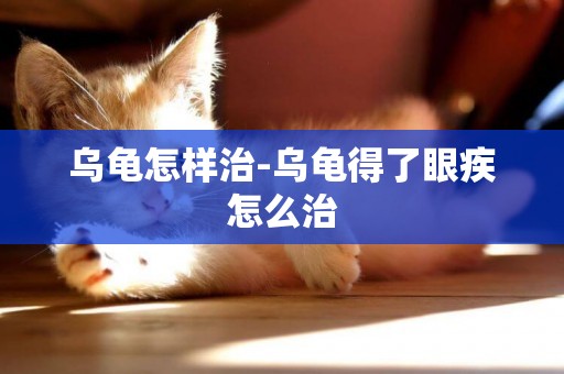 烏龜怎樣治-烏龜得了眼疾怎么治