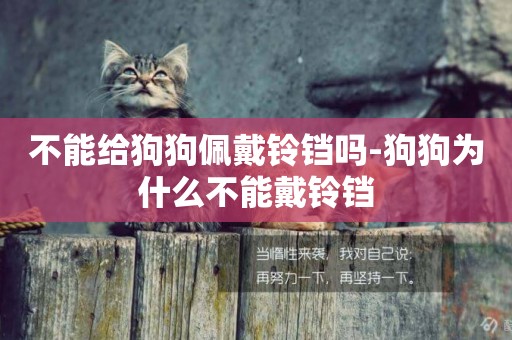 不能給狗狗佩戴鈴鐺嗎-狗狗為什么不能戴鈴鐺