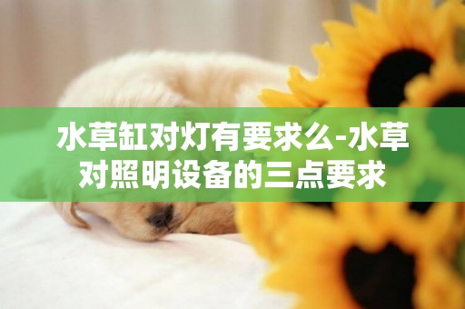水草缸對燈有要求么-水草對照明設備的三點要求