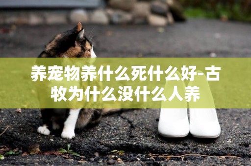 養寵物養什么死什么好-古牧為什么沒什么人養