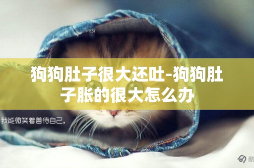 狗狗肚子很大還吐-狗狗肚子脹的很大怎么辦