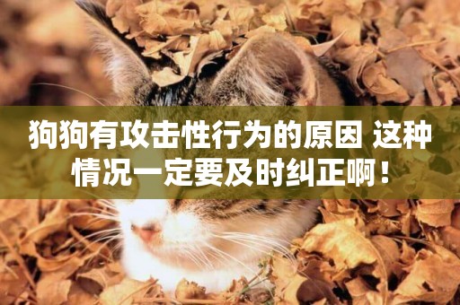 狗狗有攻擊性行為的原因 這種情況一定要及時糾正啊！