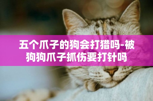 五個爪子的狗會打獵嗎-被狗狗爪子抓傷要打針嗎