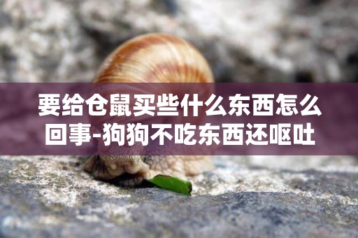 要給倉鼠買些什么東西怎么回事-狗狗不吃東西還嘔吐是怎么回事