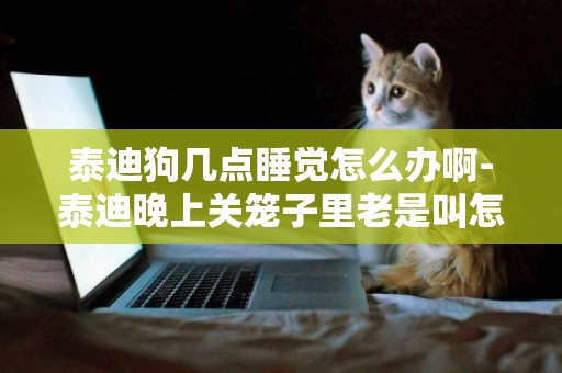 泰迪狗幾點睡覺怎么辦啊-泰迪晚上關籠子里老是叫怎么辦