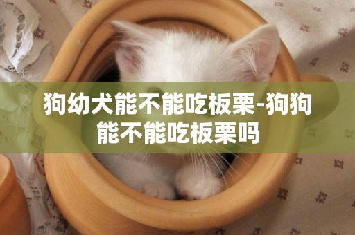 狗幼犬能不能吃板栗-狗狗能不能吃板栗嗎