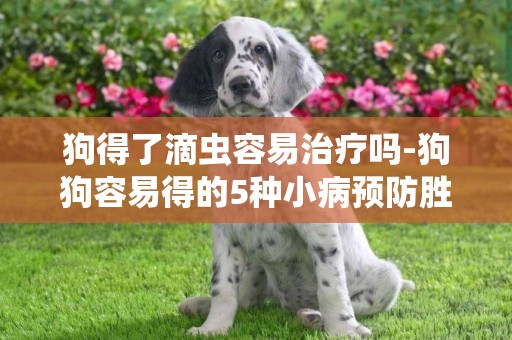 狗得了滴蟲容易治療嗎-狗狗容易得的5種小病預防勝于治療