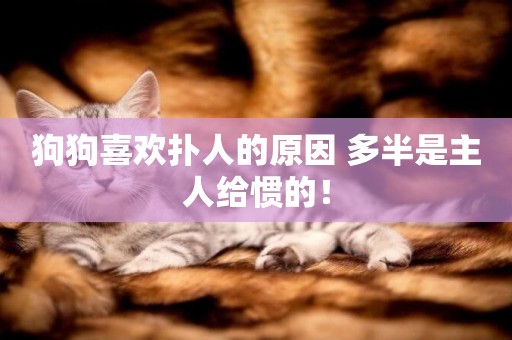 狗狗喜歡撲人的原因 多半是主人給慣的! 狗狗喜歡撲人的原因 多半是主人給慣的!