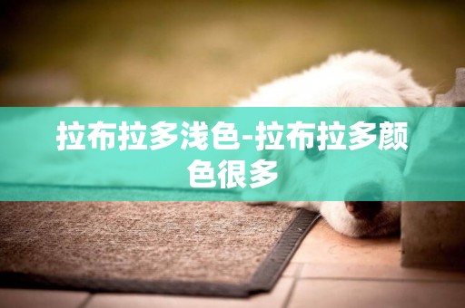 拉布拉多淺色-拉布拉多顏色很多