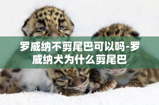 羅威納不剪尾巴可以嗎-羅威納犬為什么剪尾巴