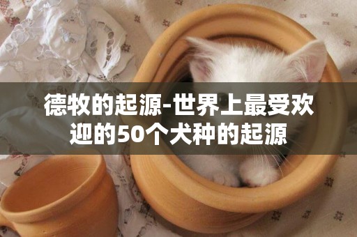 德牧的起源-世界上最受歡迎的50個犬種的起源