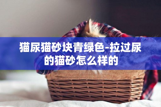 貓尿貓砂塊青綠色-拉過尿的貓砂怎么樣的
