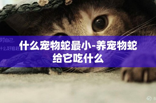 什么寵物蛇最小-養寵物蛇給它吃什么