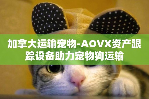 加拿大運輸寵物-AOVX資產跟蹤設備助力寵物狗運輸