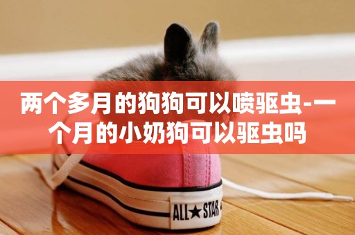 兩個多月的狗狗可以噴驅蟲-一個月的小奶狗可以驅蟲嗎