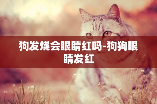狗發燒會眼睛紅嗎-狗狗眼睛發紅