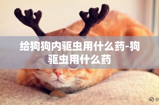 給狗狗內驅蟲用什么藥-狗驅蟲用什么藥