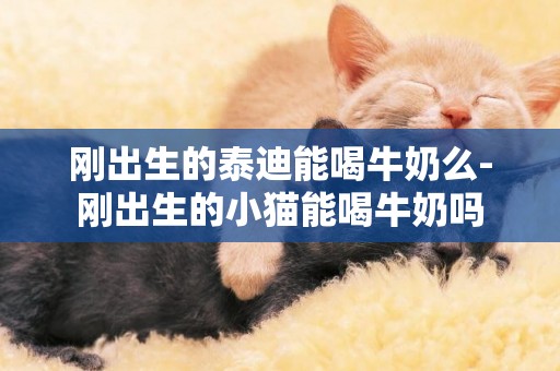 剛出生的泰迪能喝牛奶么-剛出生的小貓能喝牛奶嗎