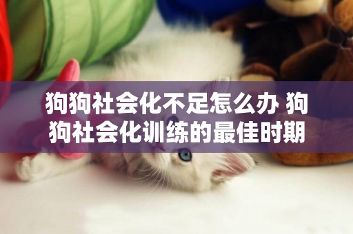 狗狗社會化不足怎么辦 狗狗社會化訓練的最佳時期