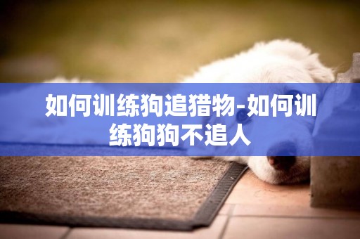 如何訓練狗追獵物-如何訓練狗狗不追人