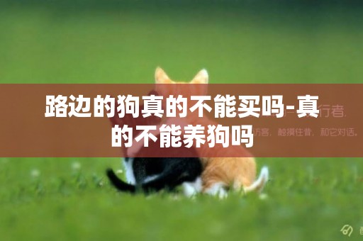 路邊的狗真的不能買嗎-真的不能養狗嗎