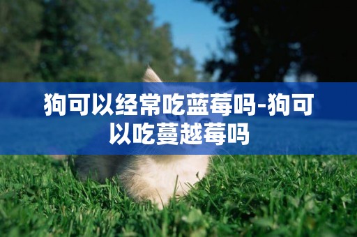狗可以經常吃藍莓嗎-狗可以吃蔓越莓嗎