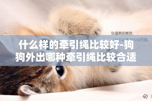 什么樣的牽引繩比較好-狗狗外出哪種牽引繩比較合適