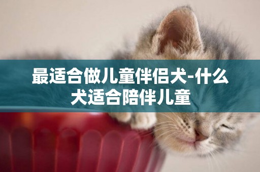 最適合做兒童伴侶犬-什么犬適合陪伴兒童