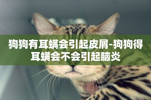 狗狗有耳螨會引起皮屑-狗狗得耳螨會不會引起腦炎