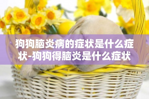 狗狗腦炎病的癥狀是什么癥狀-狗狗得腦炎是什么癥狀