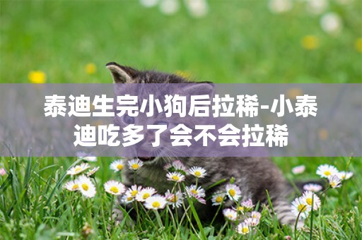 泰迪生完小狗后拉稀-小泰迪吃多了會不會拉稀