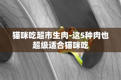 貓咪吃超市生肉-這5種肉也超級適合貓咪吃